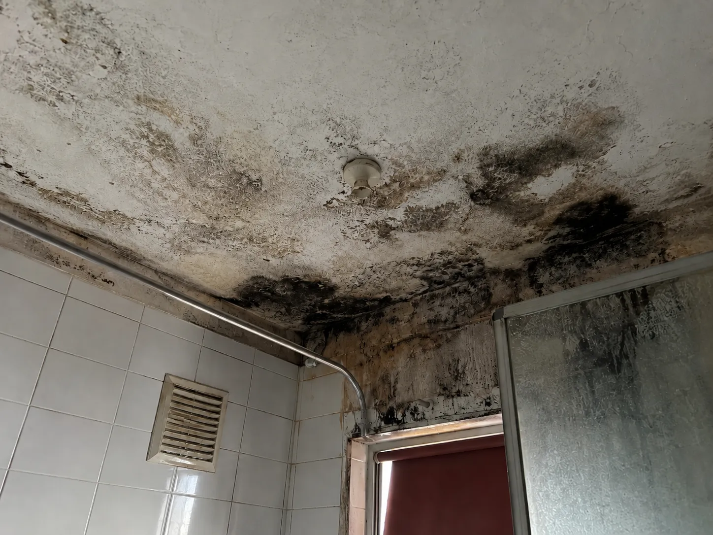 Tenant Health & Safety Assessment evidence for buy-to-let survey